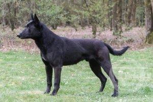 Bram (Geraghty)
