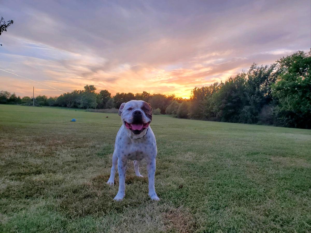 Wesson's Ridge
