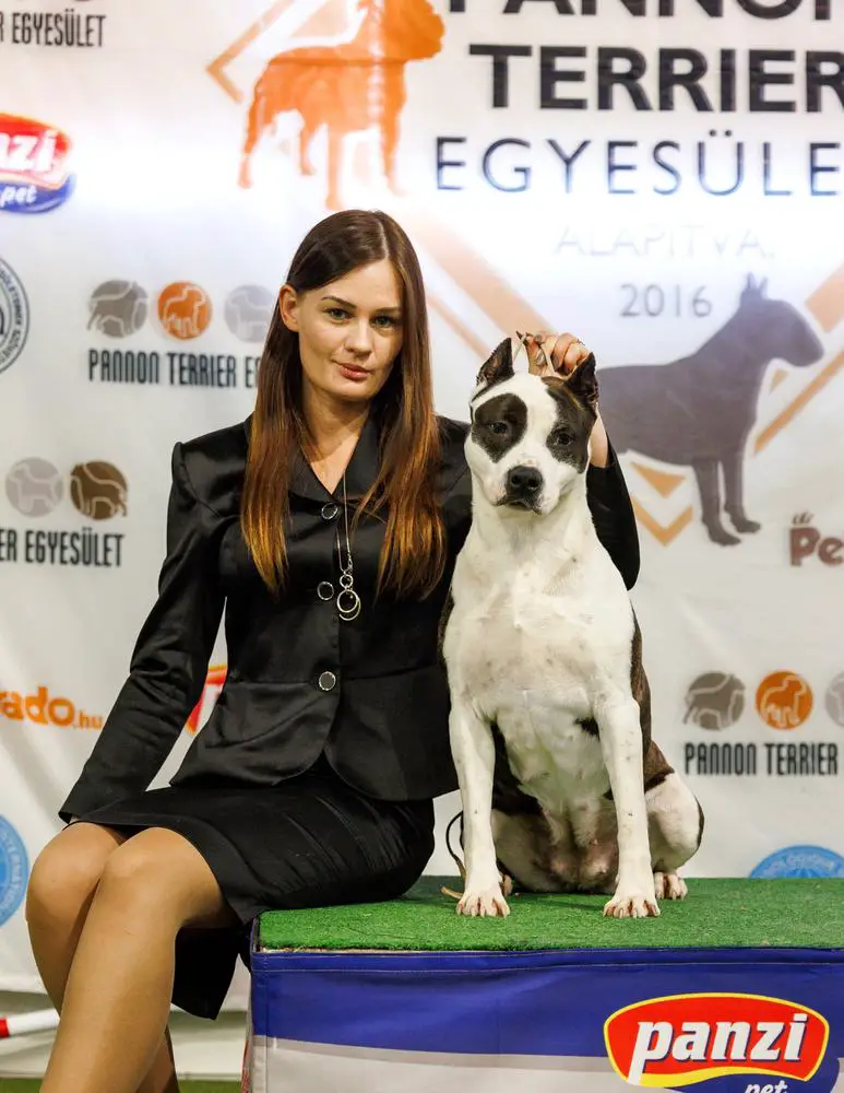 JC Ring Angels Coco Jamboo