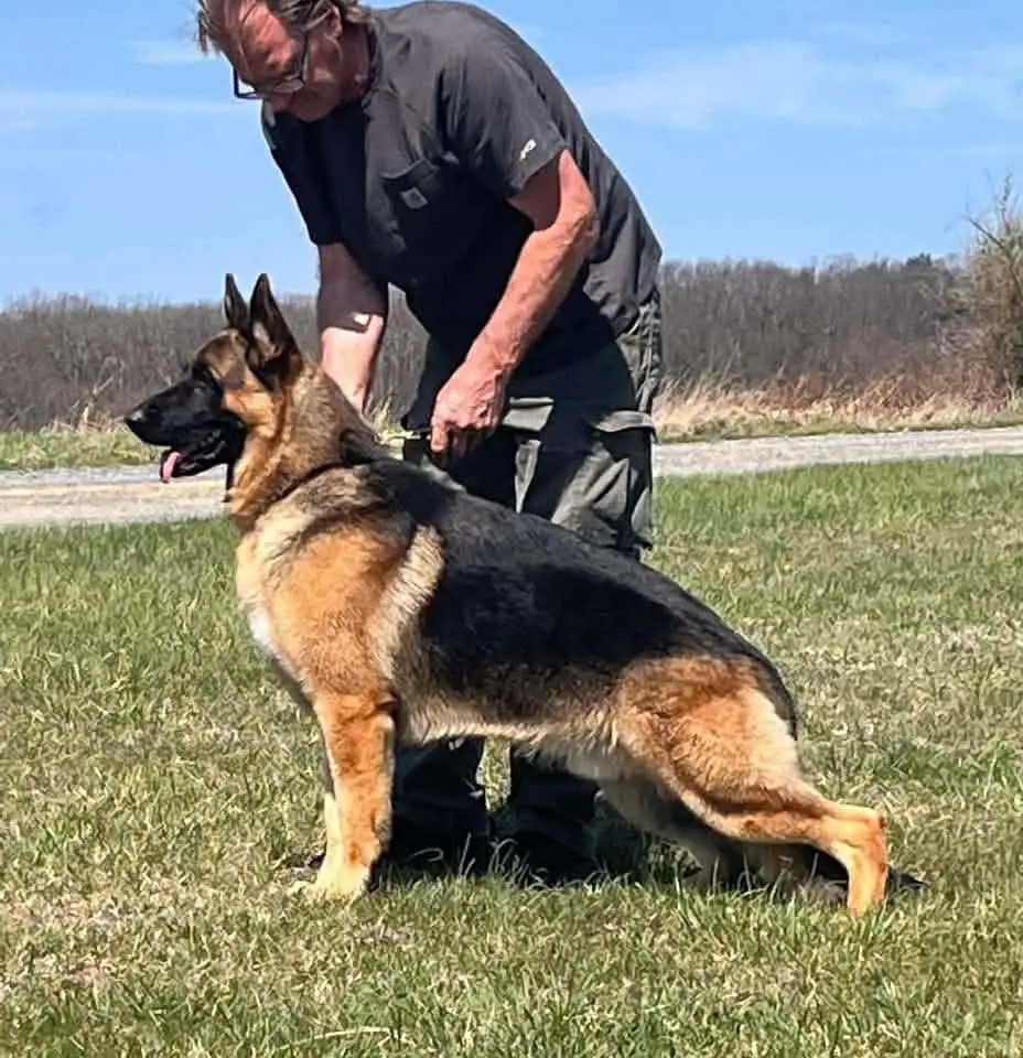 Kenlyn Marquis' Scorpion King