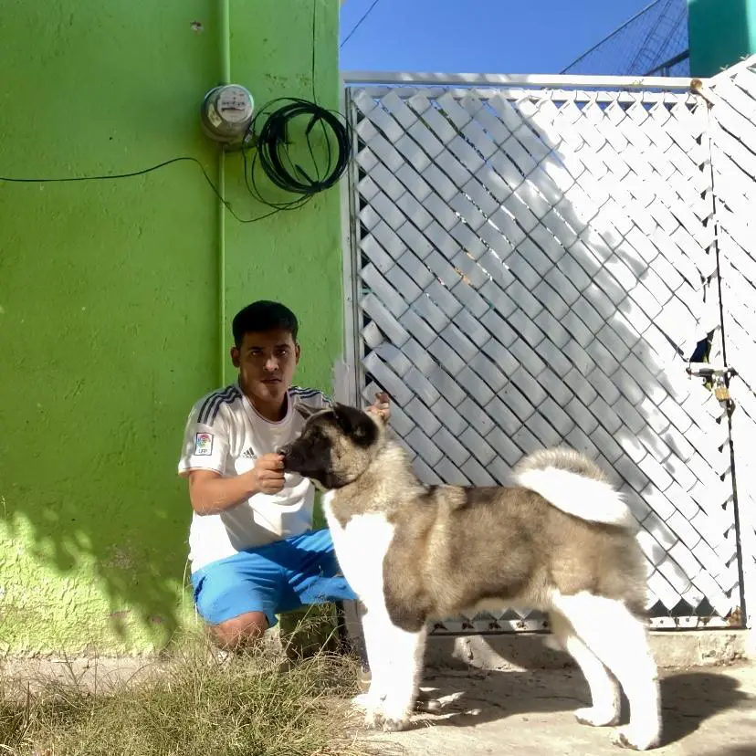 Maximo A Real Hero