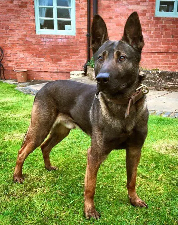 Zeus (Mayes)
