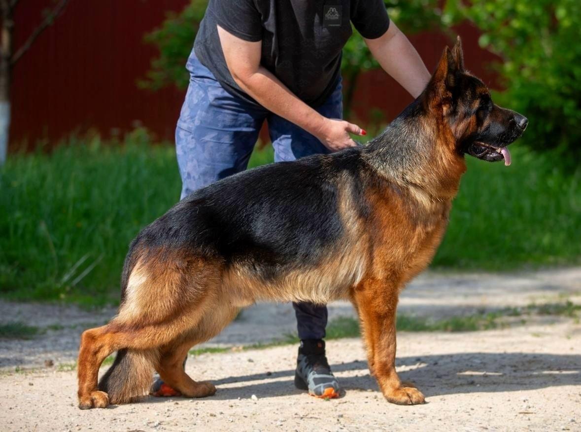 Yustas vom Team Furstenbrunn