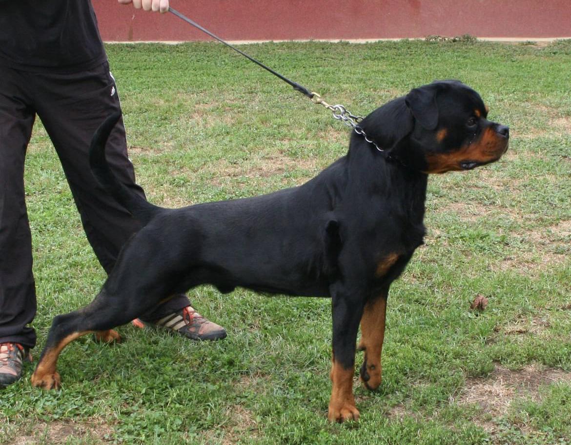 Feit Von Der Maxi Rott