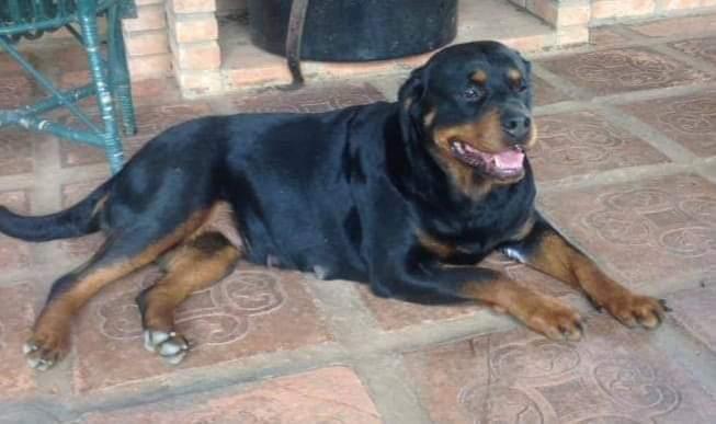 Zoraide Vulcan Von Semble