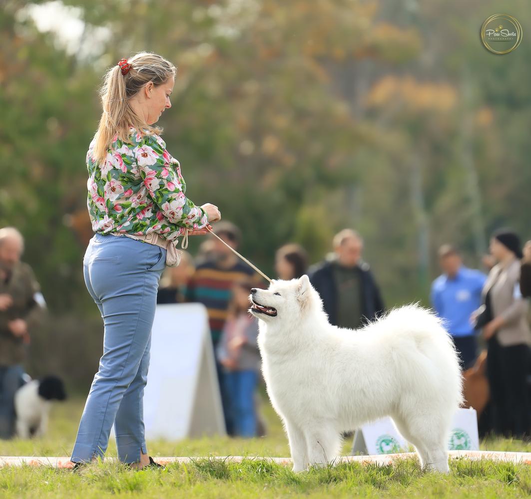 GLORIA OF CORLEONE Raising Fluffy