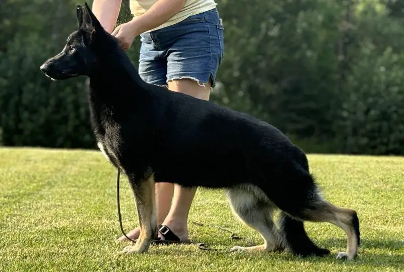 Von Kaiser's North Bound