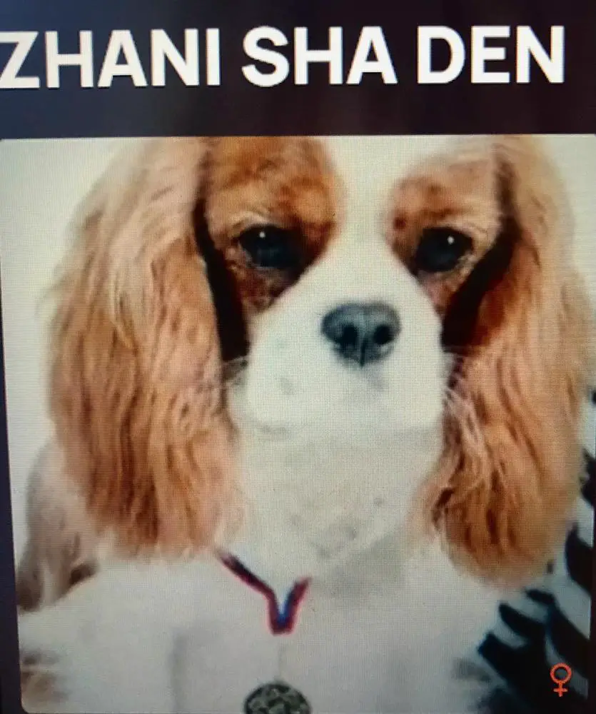 ZHANI SHA DEN