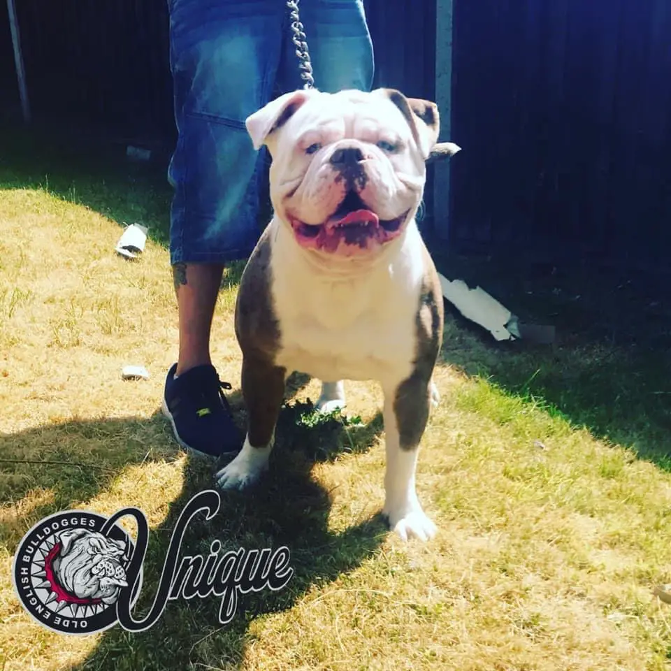 Unique Oldies Walter