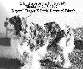 JUPITER OF TTIWEH