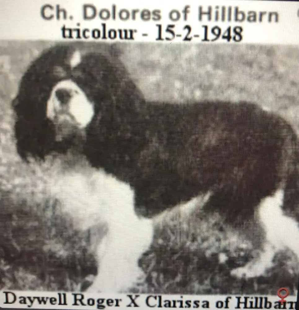 DOLORES OF HILLBARN