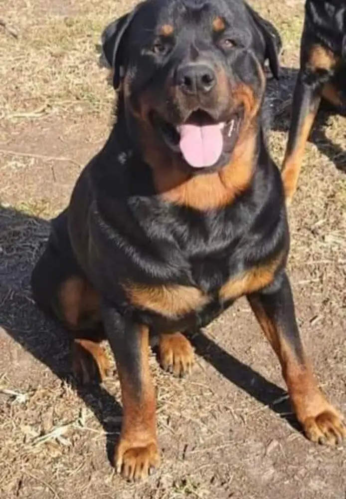 Bruce Leroy Von Verdin