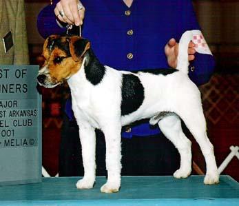 Brookshire's Lord Benjamin