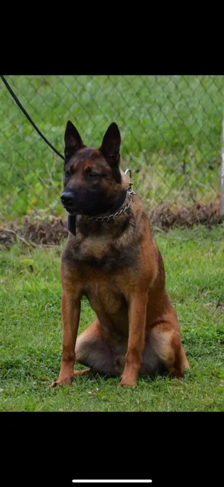 Kazan V. Masja’s Home