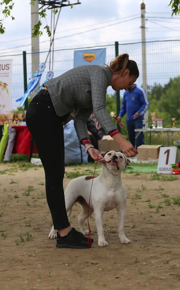 URANIA ERAMBULL