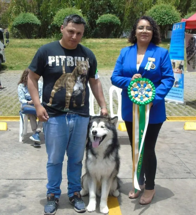 MUFASA NUEVAHERA KENNEL DOG