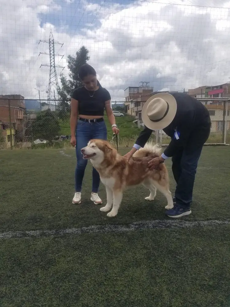 RUBI OLIMPOLIONS