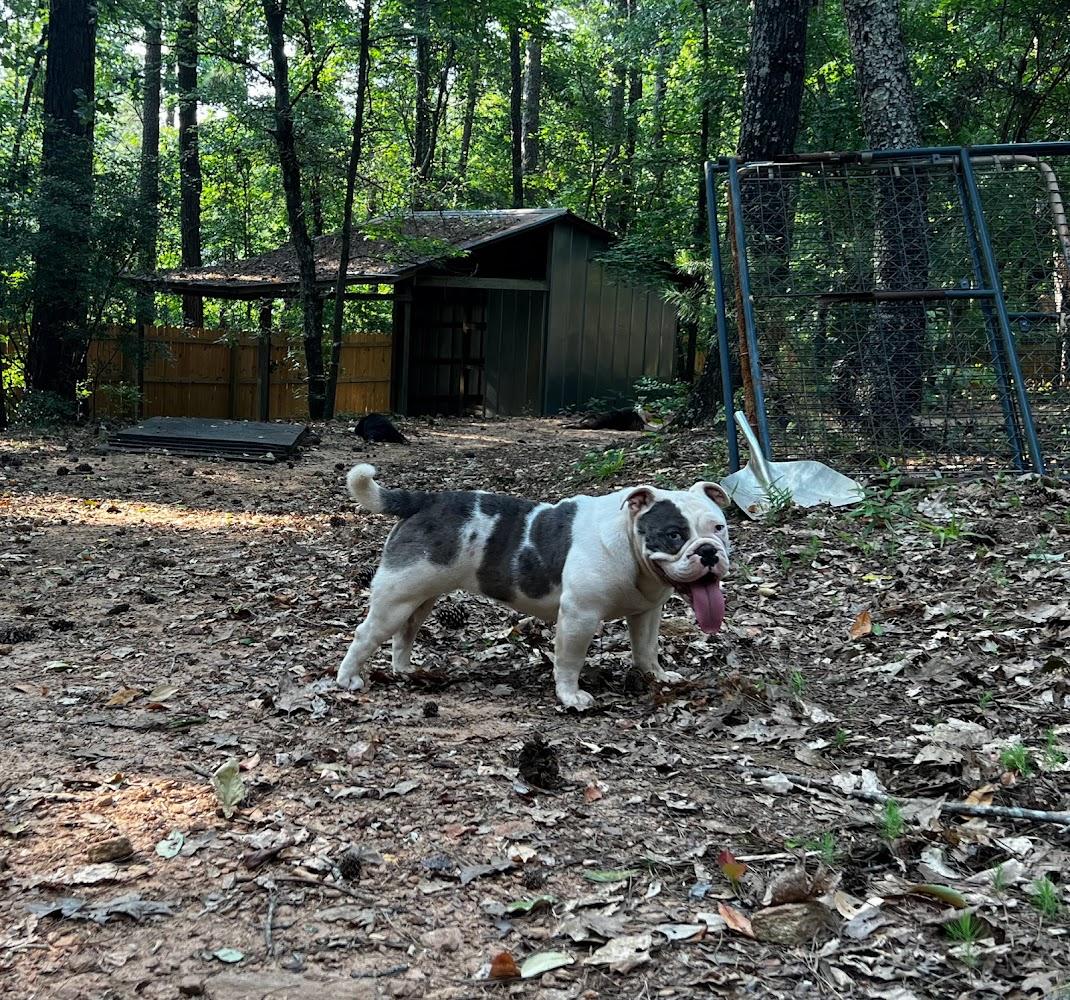 Jacobs’ Glorilla of Red Clay Bulldogs