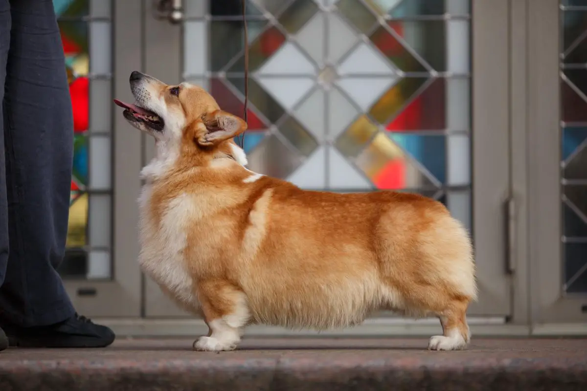 Night Keepish No Problem