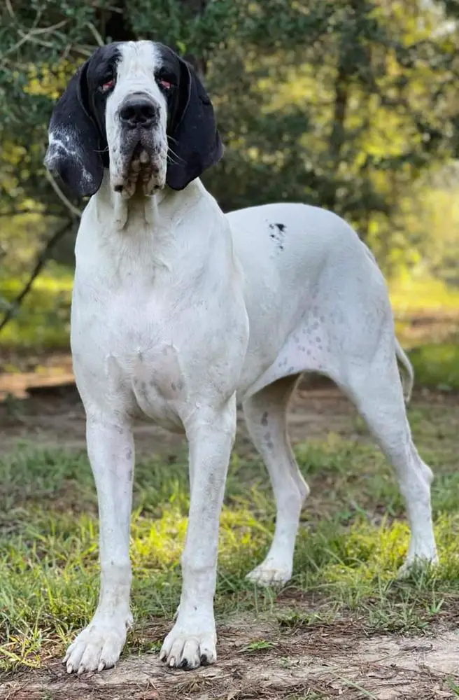 Adalee Of Land De Black And White