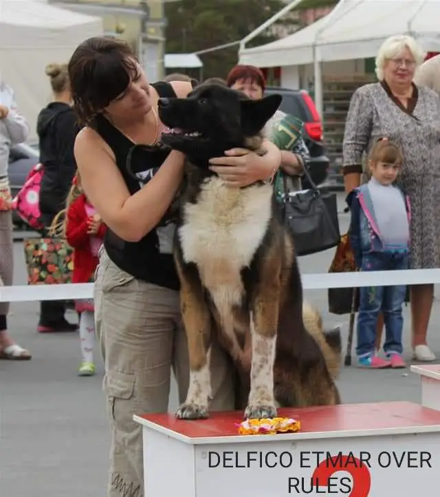 Del' Fi' Co Etmar Over Rules