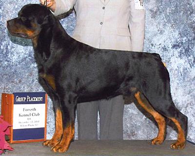 Redyre Choice V Eternal Moon
