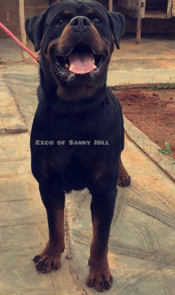 Exco Sanny Hill