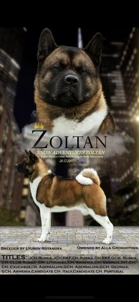 Snow Adventures Zoltan