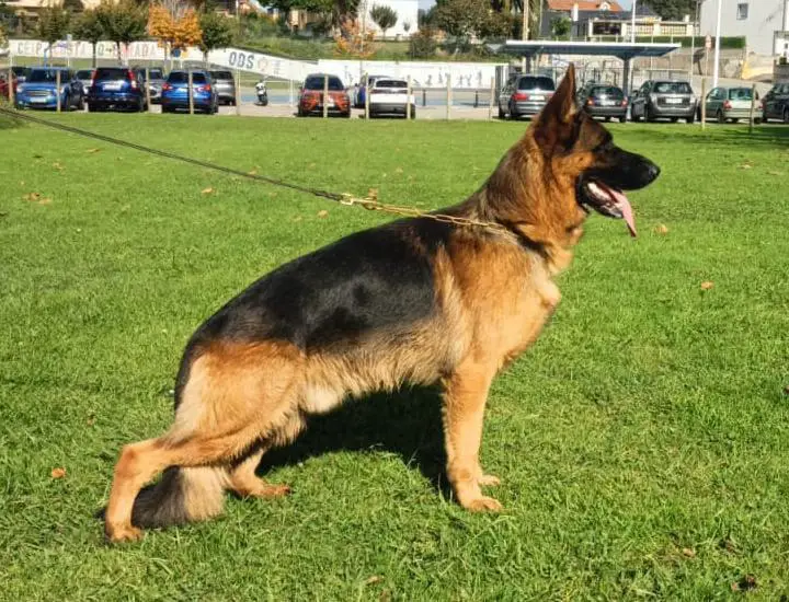 Kofy de Tierra Campolacruz