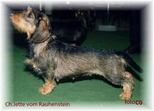 Jette von Rauhenstein