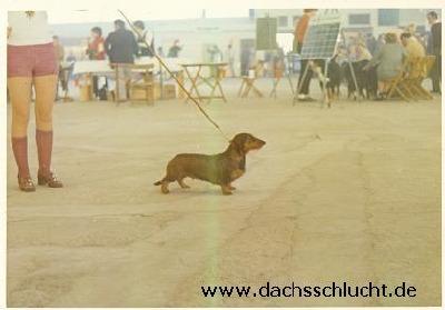 Britta von der Dachsschlucht