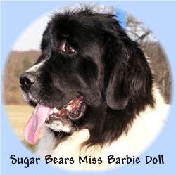 Sugar Bears Miss Barbie Doll