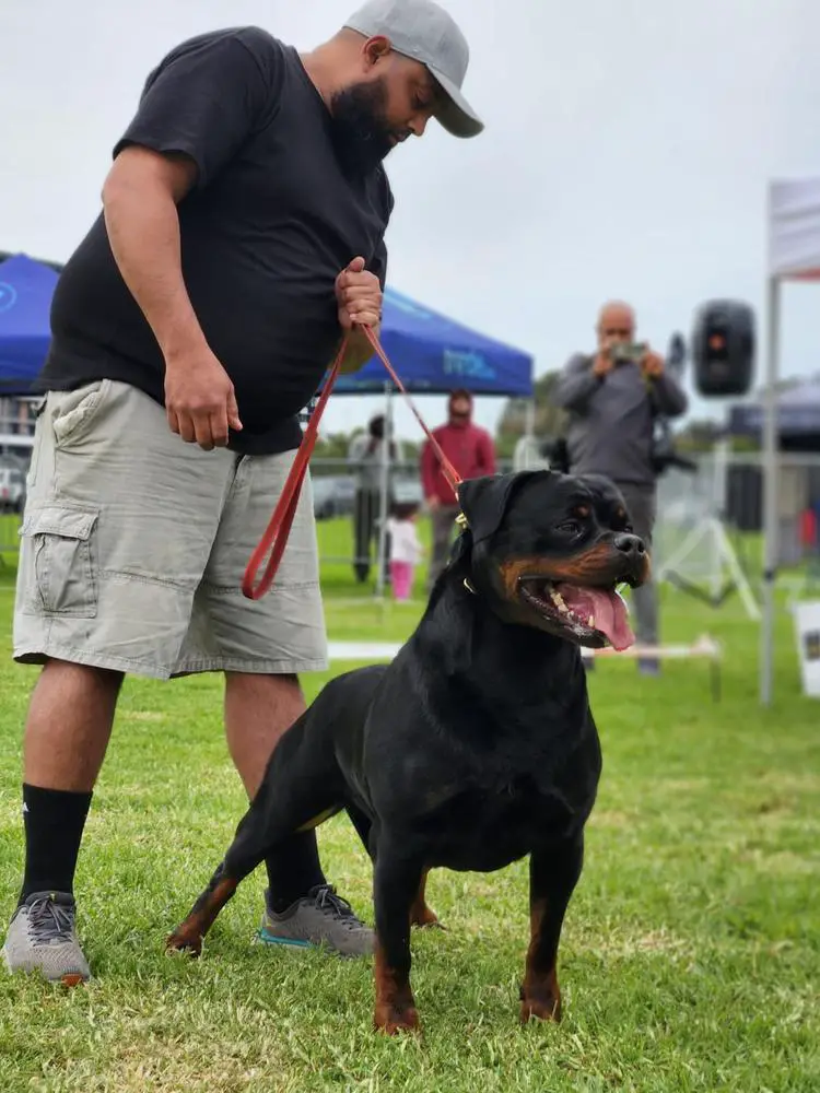 Holly V.D Lenterotts of Uslann