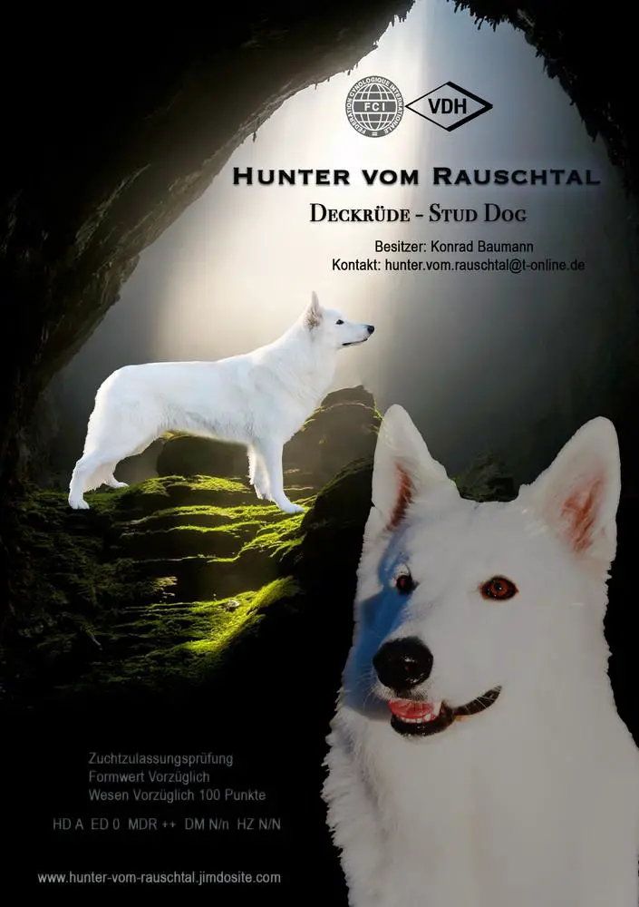 Hunter vom Rauschtal