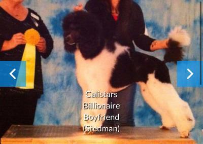 Calistar’s Billionaire Boyfriend