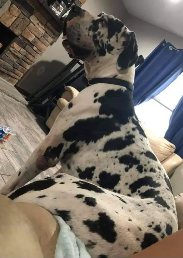 Beau Dukes