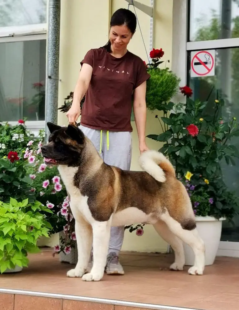 Vivalottara Obrayn Kent