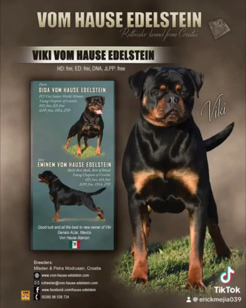 Viki Vom Hause Edelstein