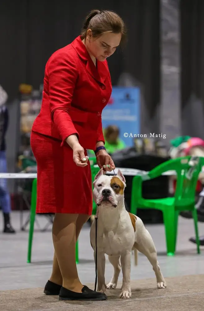 SANNIT DEMIRA REMIKS