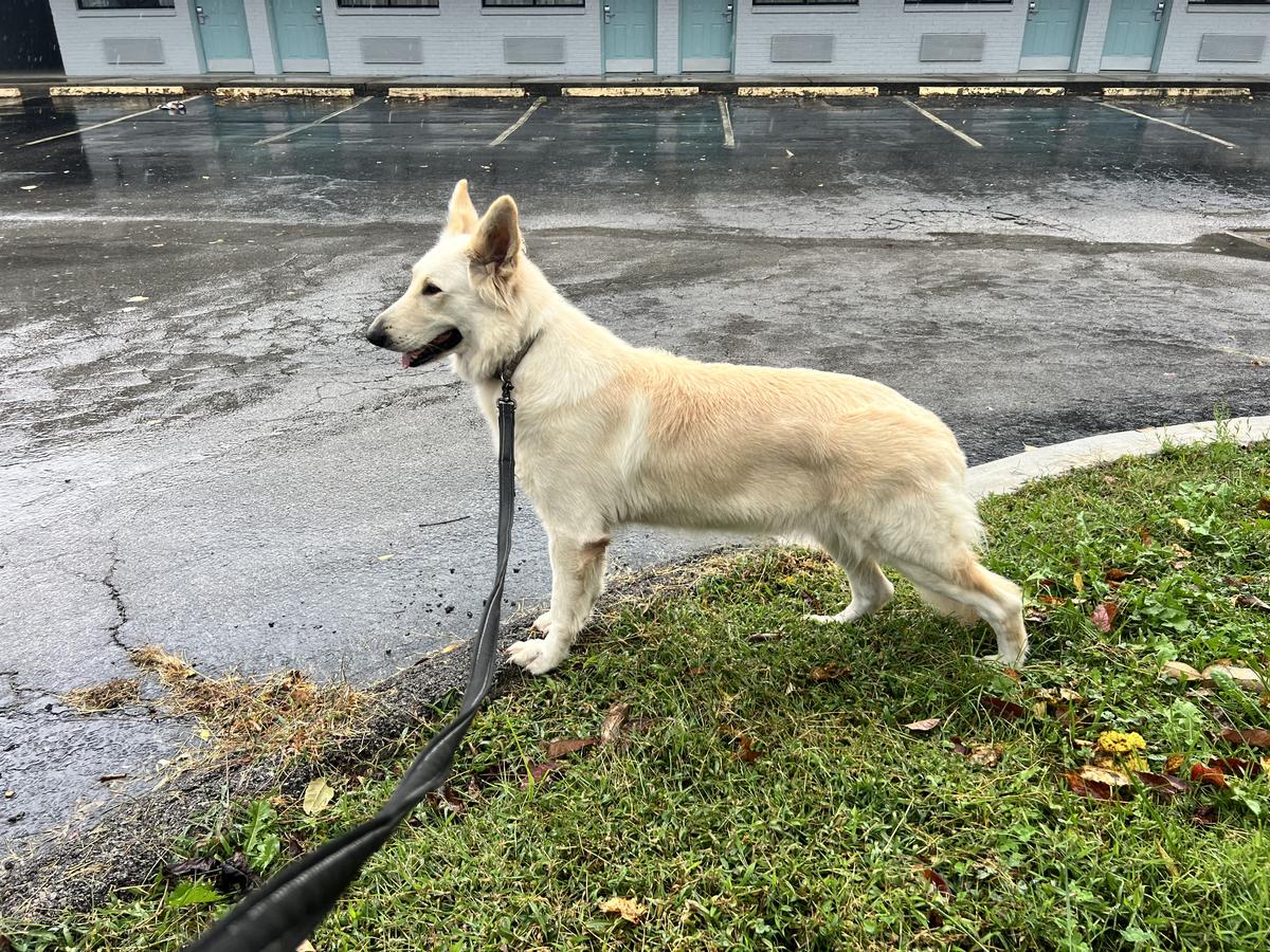 Melissa's Sweet Honey Von Frieden