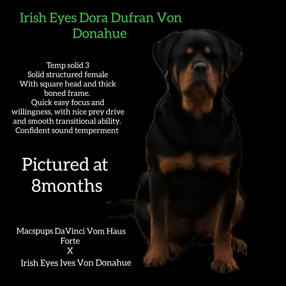 Irish Eyes Dora Dufran Von Donahue