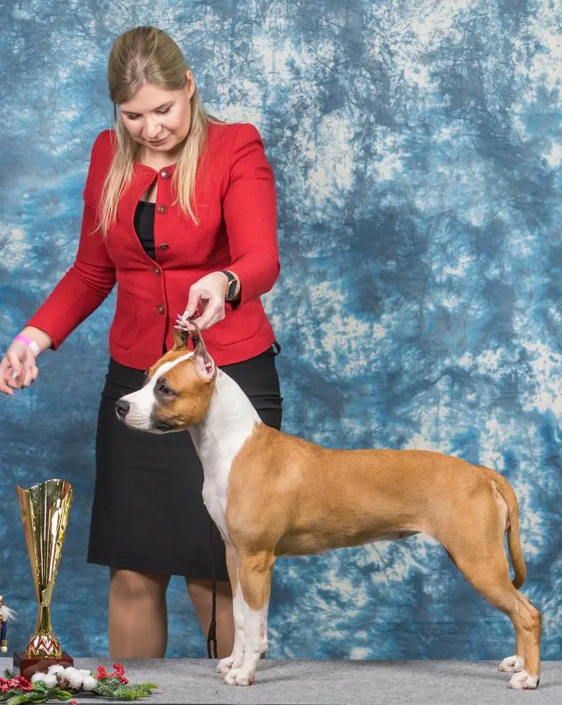 Tcenniy Prize Noemi