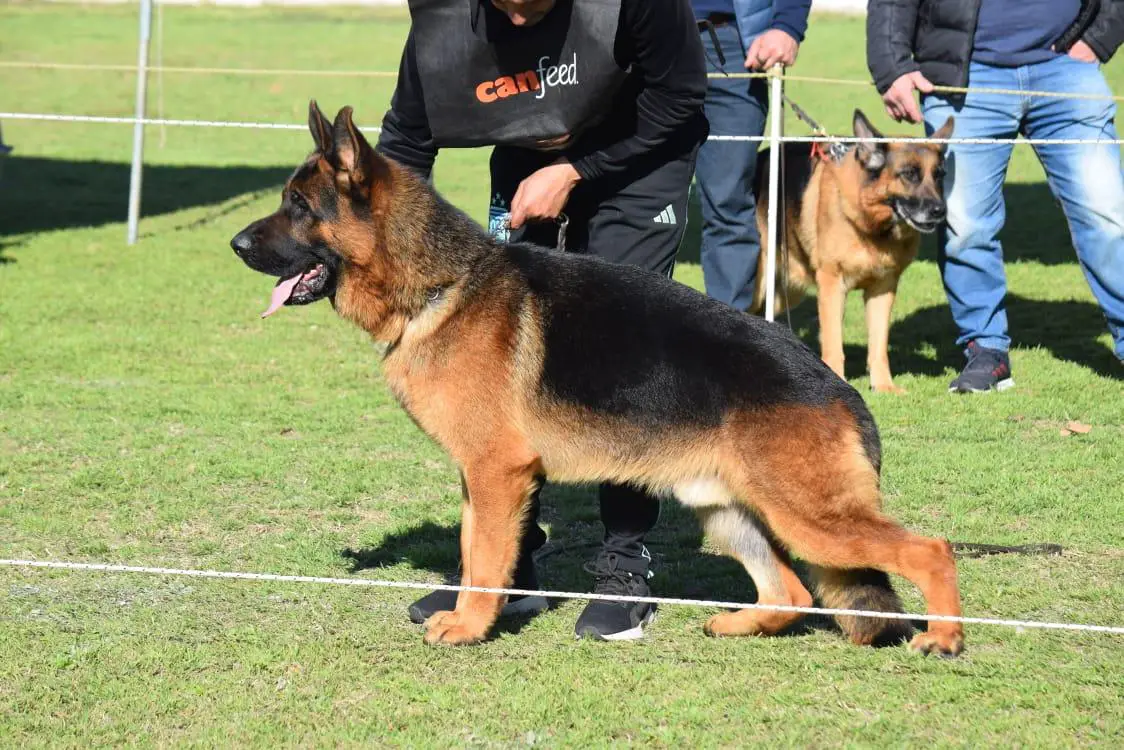 Cyro von Durbal
