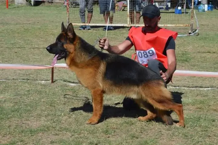 Canto von Durbal
