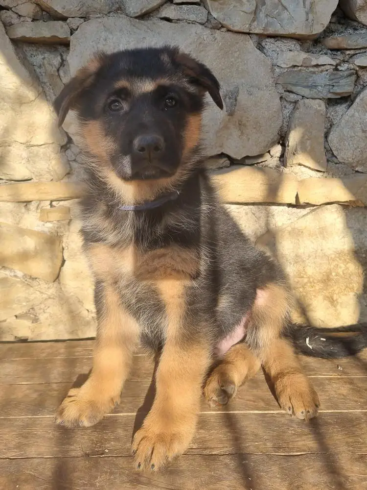 Marley di Ca' Zannol