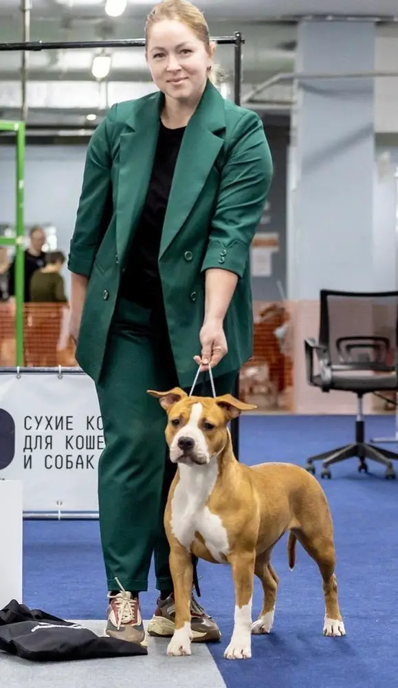 EVGEN POLI ULANNA