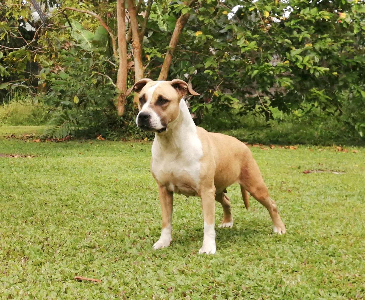 Nice And Kuwala Jada