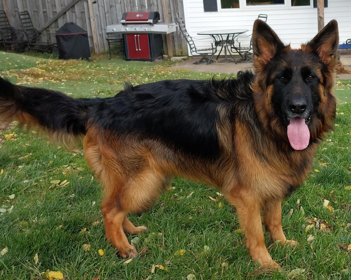 Astrid Vom Hausgladfel