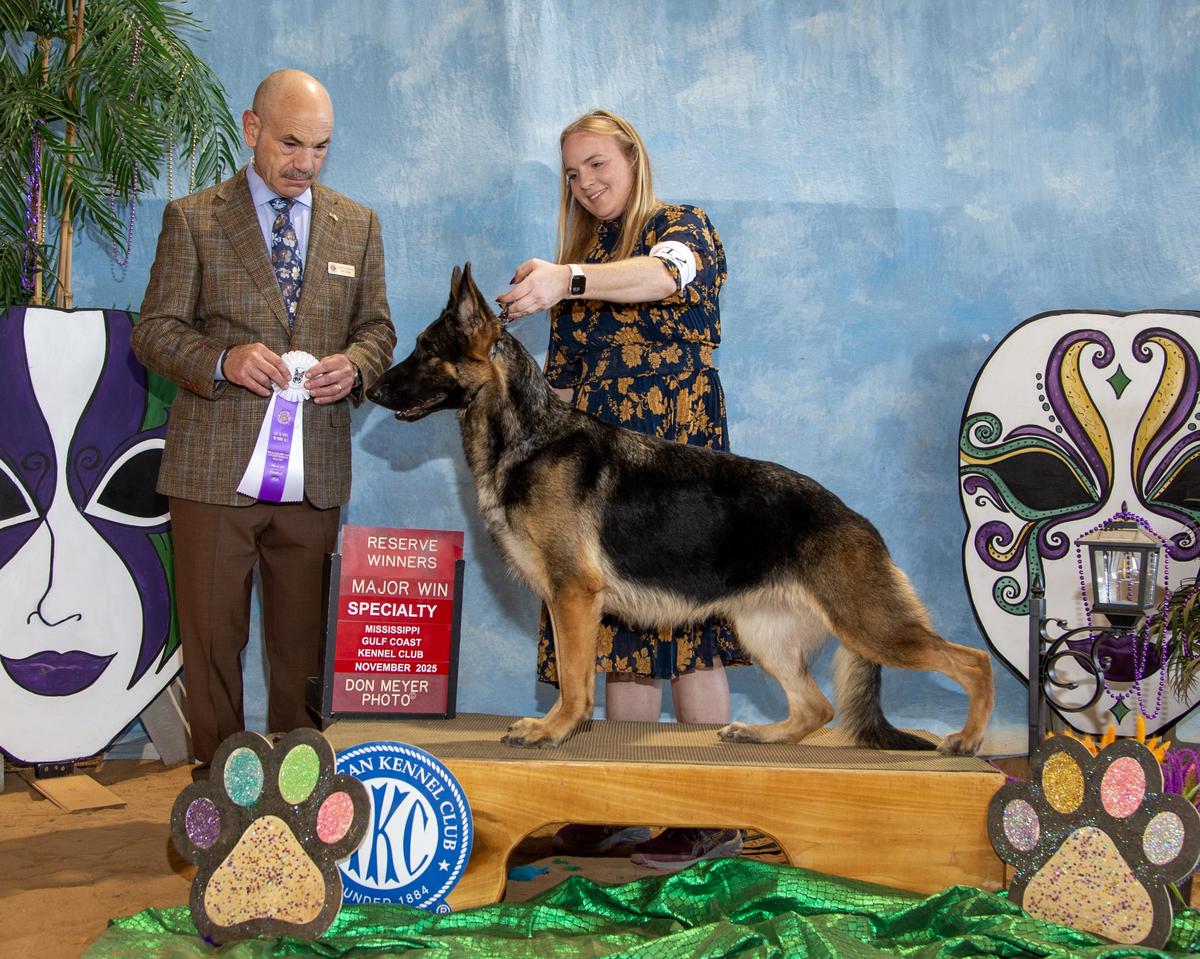 Mjr Ptd MRW Edelguard's Up The Ante