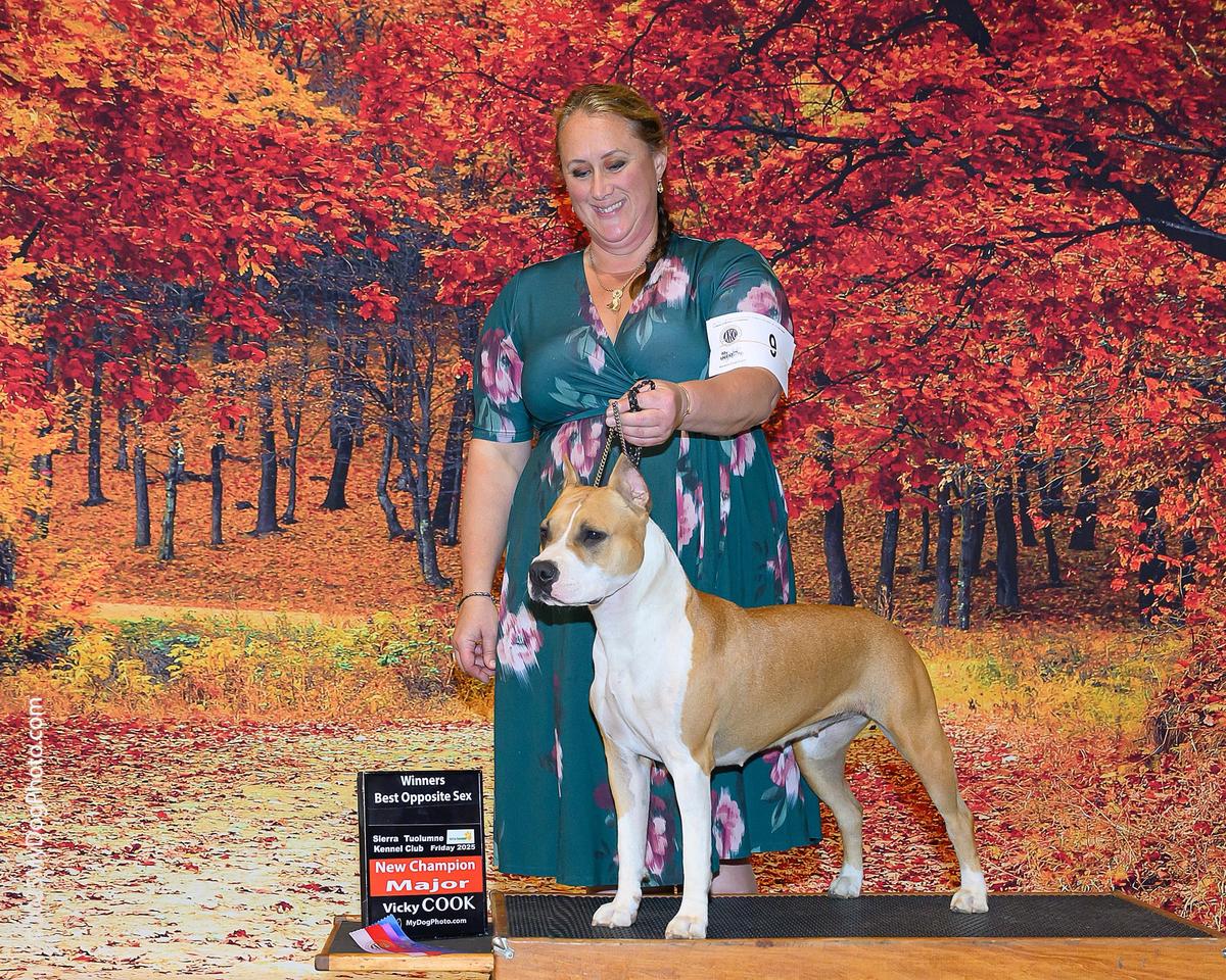 Ironstone's Call Me A Wicked Secret